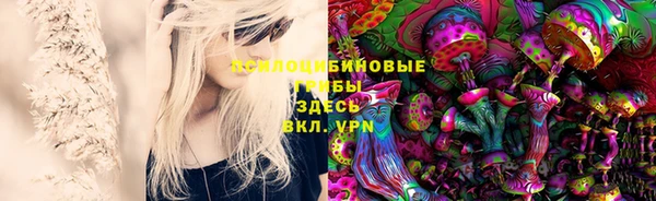герыч Алексин