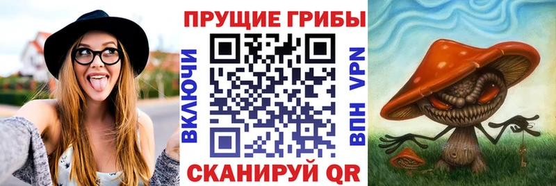 Галлюциногенные грибы MAGIC MUSHROOMS Сим